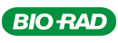 bR